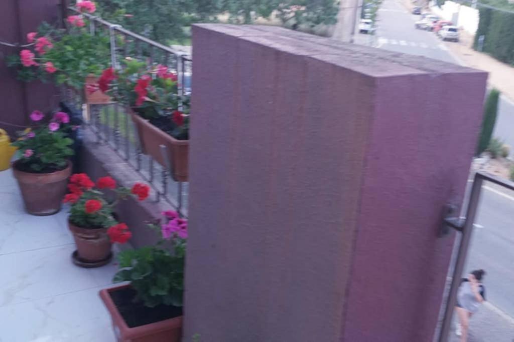 Apartamento Vacaciones ปาลาฟรูเจย์ ภายนอก รูปภาพ