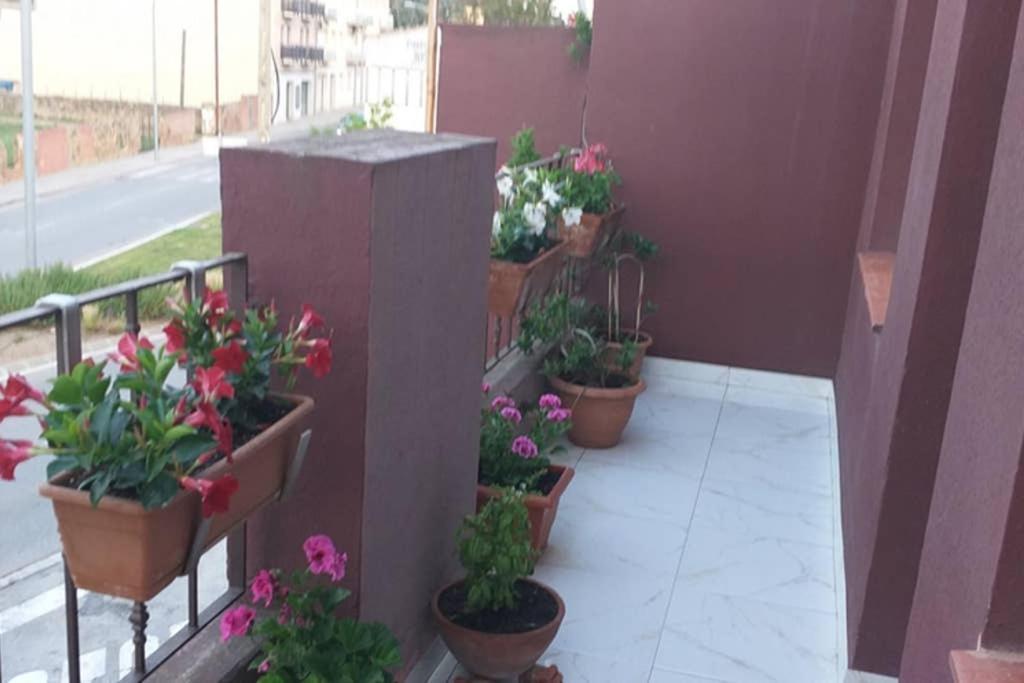 Apartamento Vacaciones ปาลาฟรูเจย์ ภายนอก รูปภาพ
